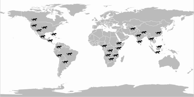 Black Panther World Map