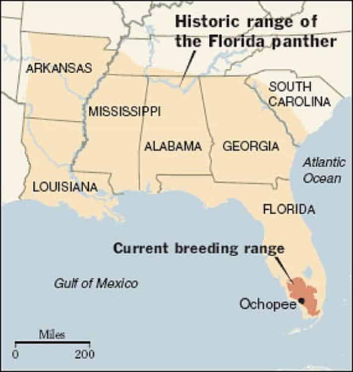 Florida Panther Range - Historic and Current