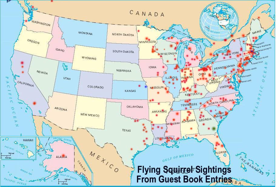 Flying Squirrel Sightings in US