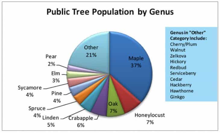Tree Population by Genus