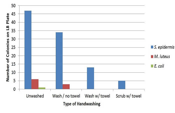 Effect of Handwashing on Bacterial Growth