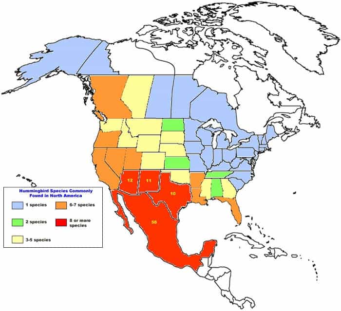 Hummingbird Species Map