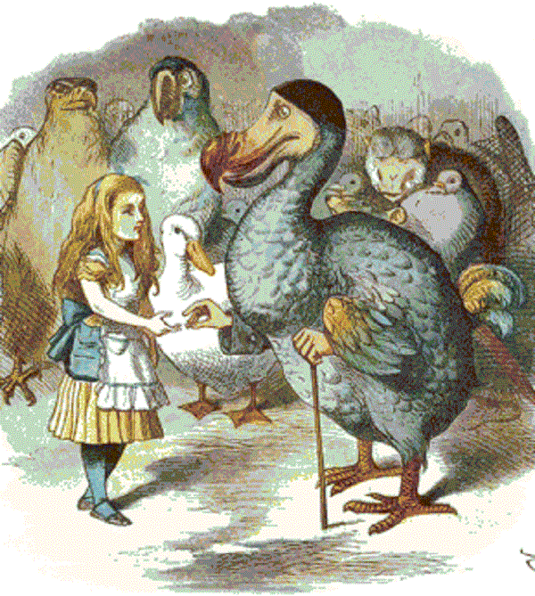 dodo bird - Alice in Wonderland