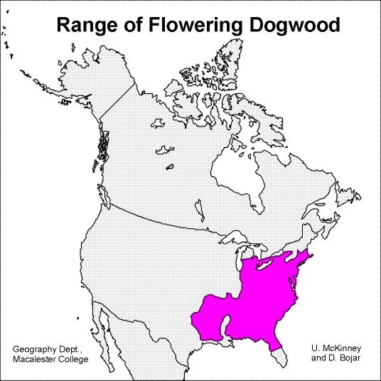 flowering dogwood range