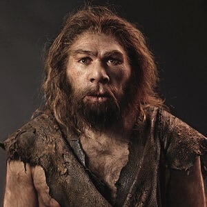 Neanderthal Facts