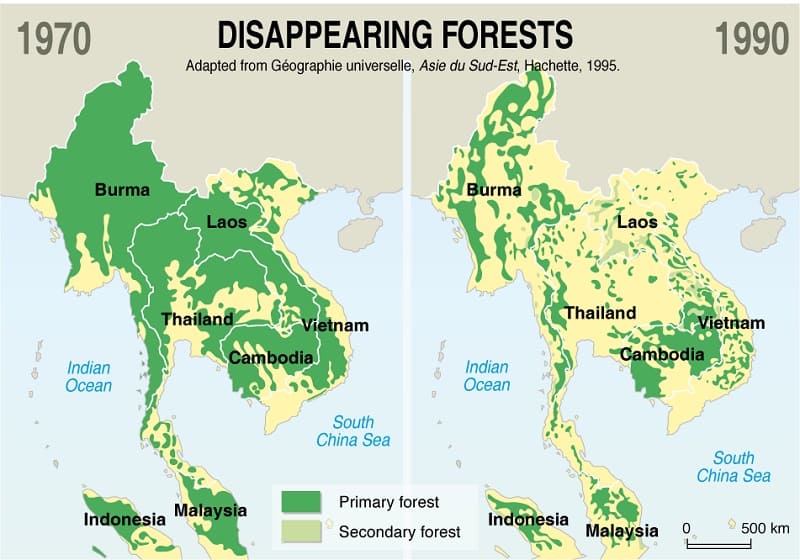 Thailand Forest is Disappearing