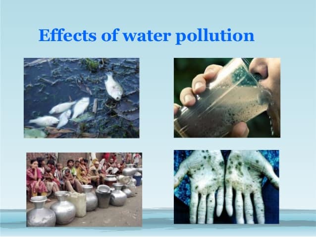 What Are The Effects Of Water Pollution For Class 3