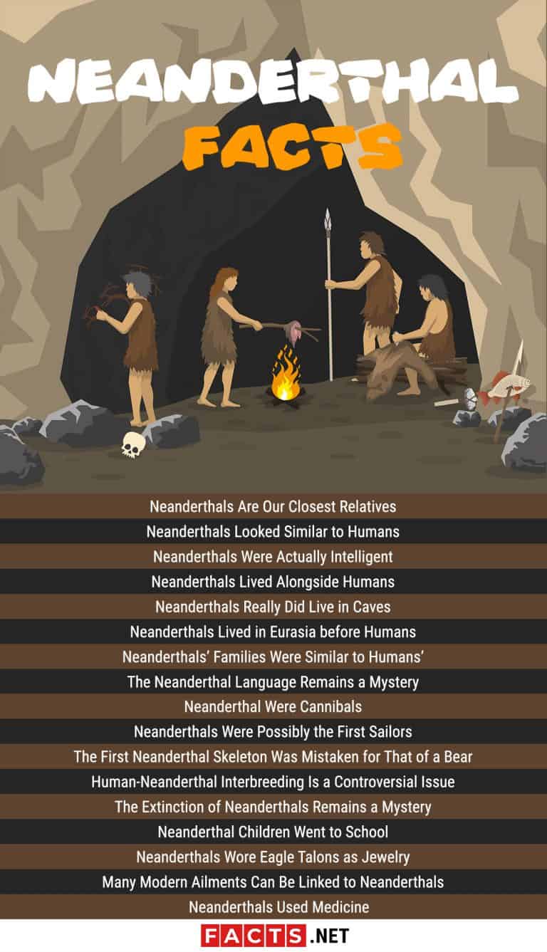 Top Neanderthal Facts Language Behavior History More Facts Net