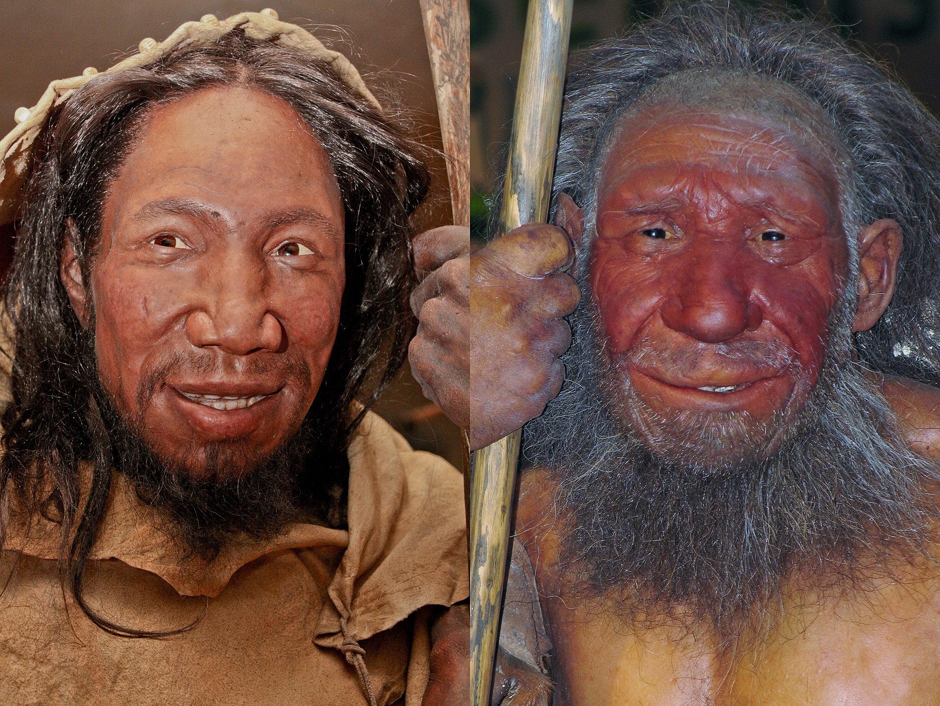 Surprising Neanderthal Facts About These Extinct Humans Facts Bridage