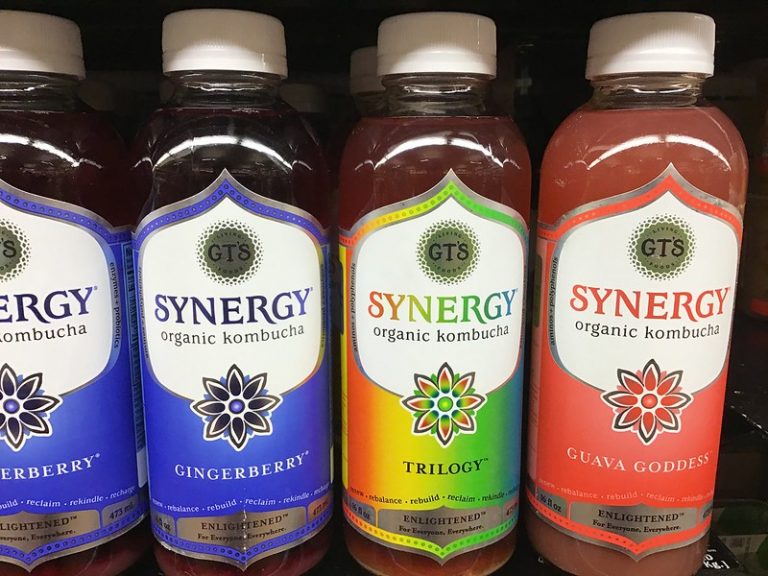 Healthy Synergy Kombucha Nutrition Facts You Should Know Facts Net