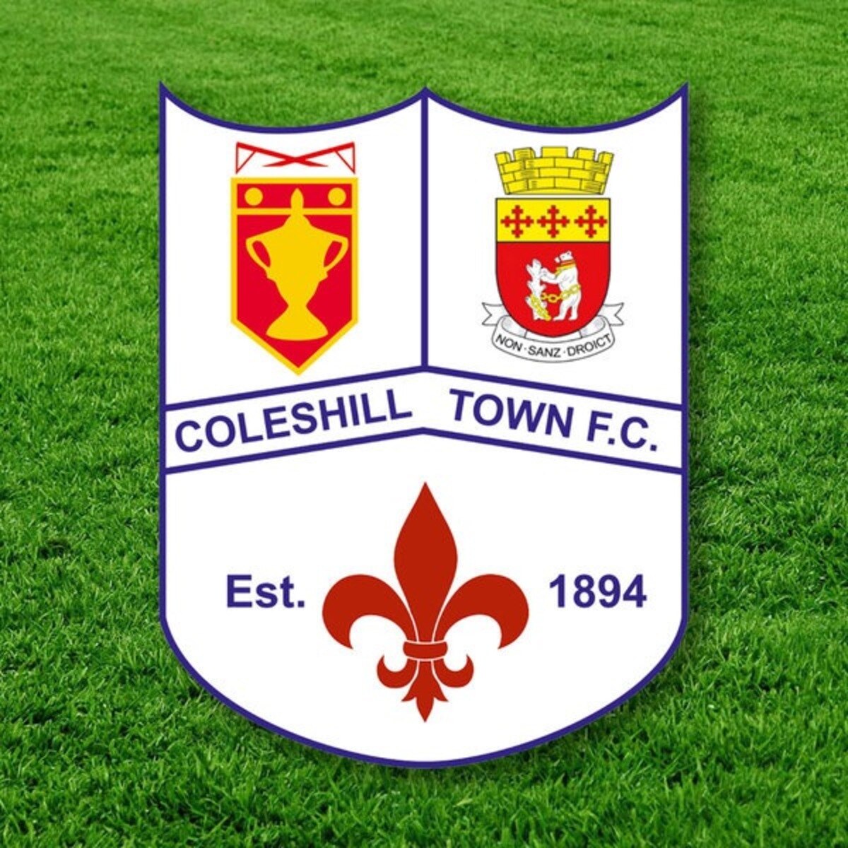 Coleshill Town Fc Football Club Facts Facts Net