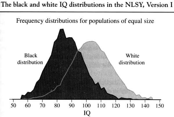 Racism Facts: Society, Politics, History & More 