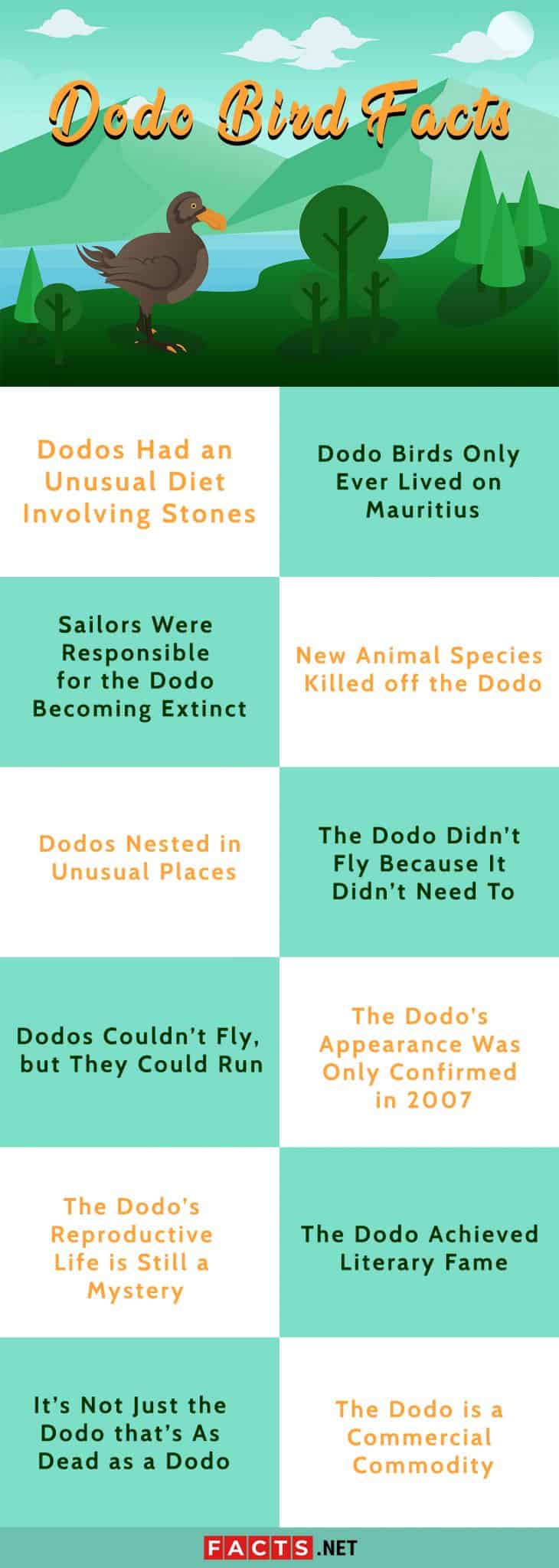 fun facts about dodos