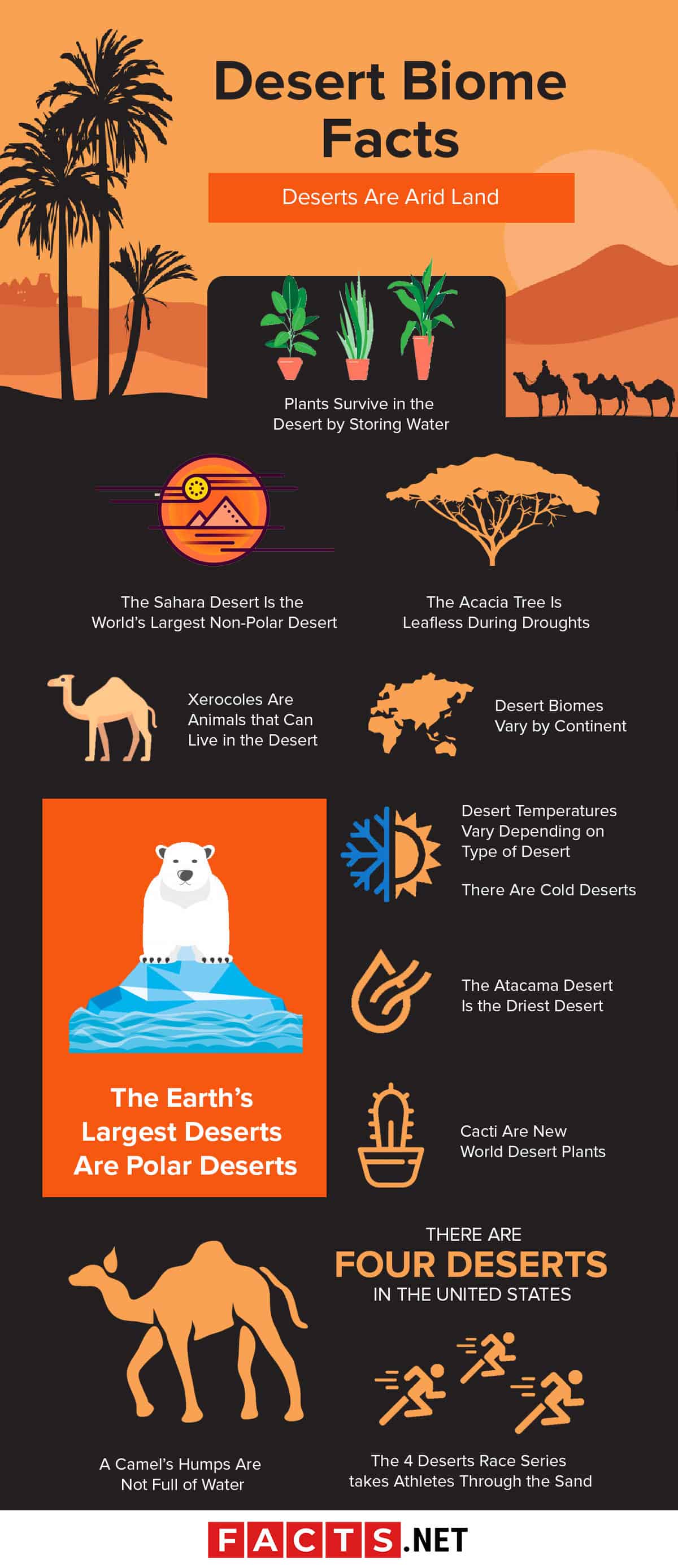 fakty dotyczące biomu pustyni Infografika