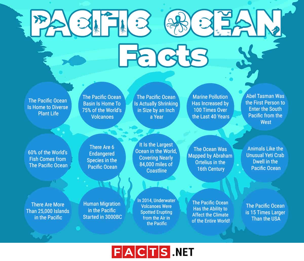 Top 15 Pacific Ocean Facts Nature, Economy, History & More