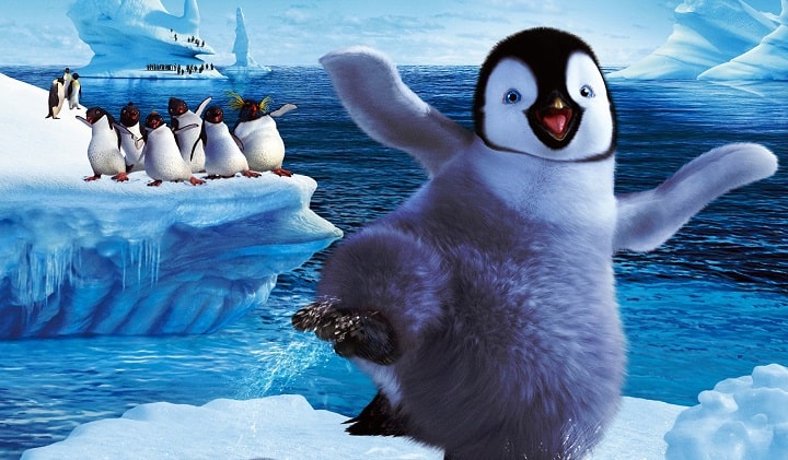 Top 15 Macaroni Penguin Facts - Predators, Diet, Range,