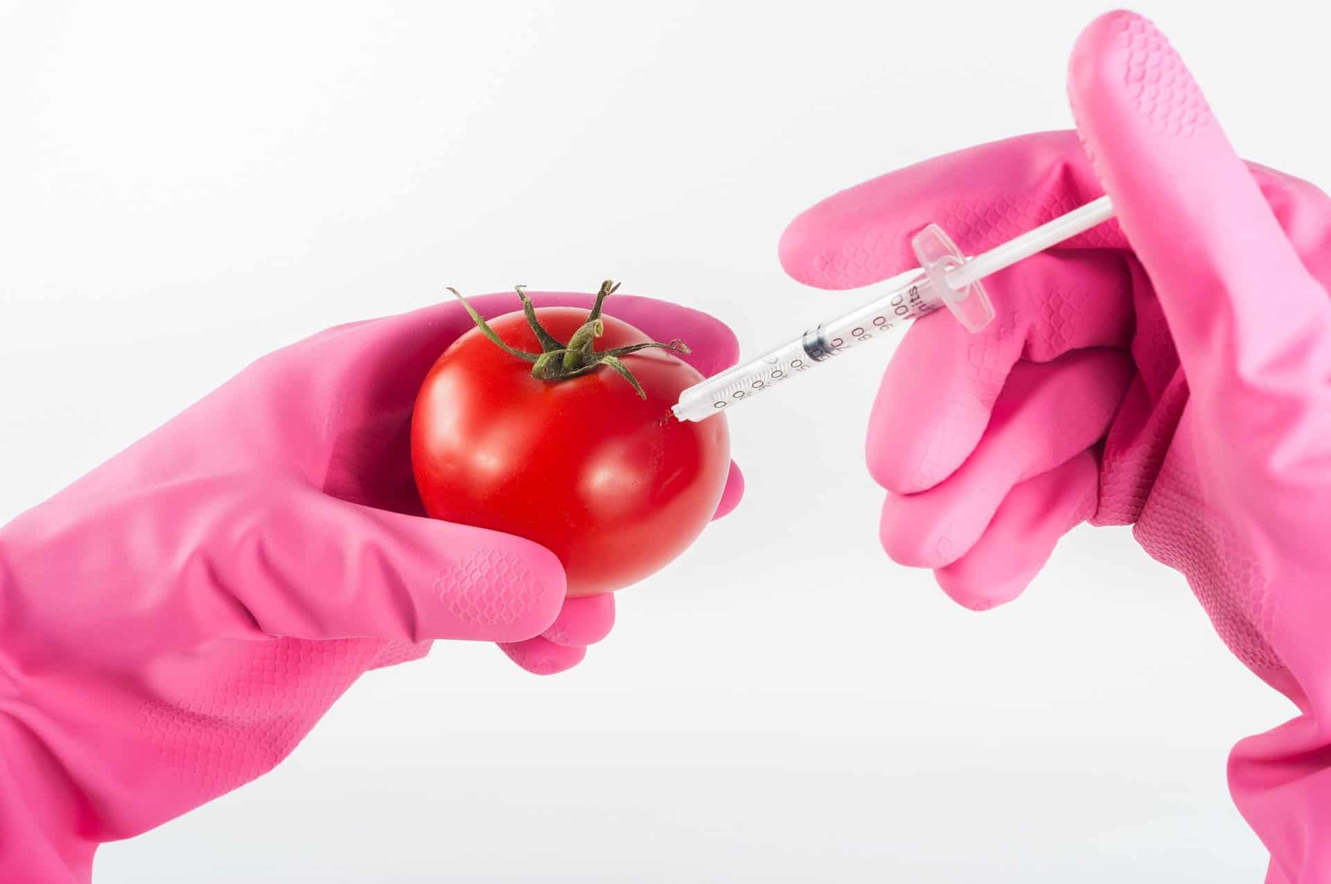 Top 20 GMO Facts - Safety, Debate, Statistics & More | Facts.net