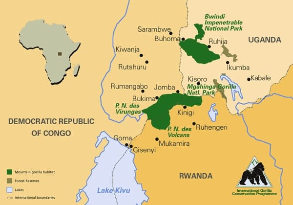 western lowland gorilla map