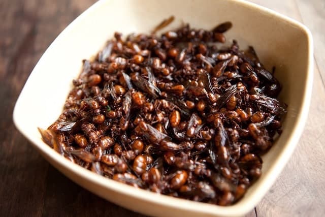 Stir-fried Subterranean Ants, Traditional Food of Northern Thailand