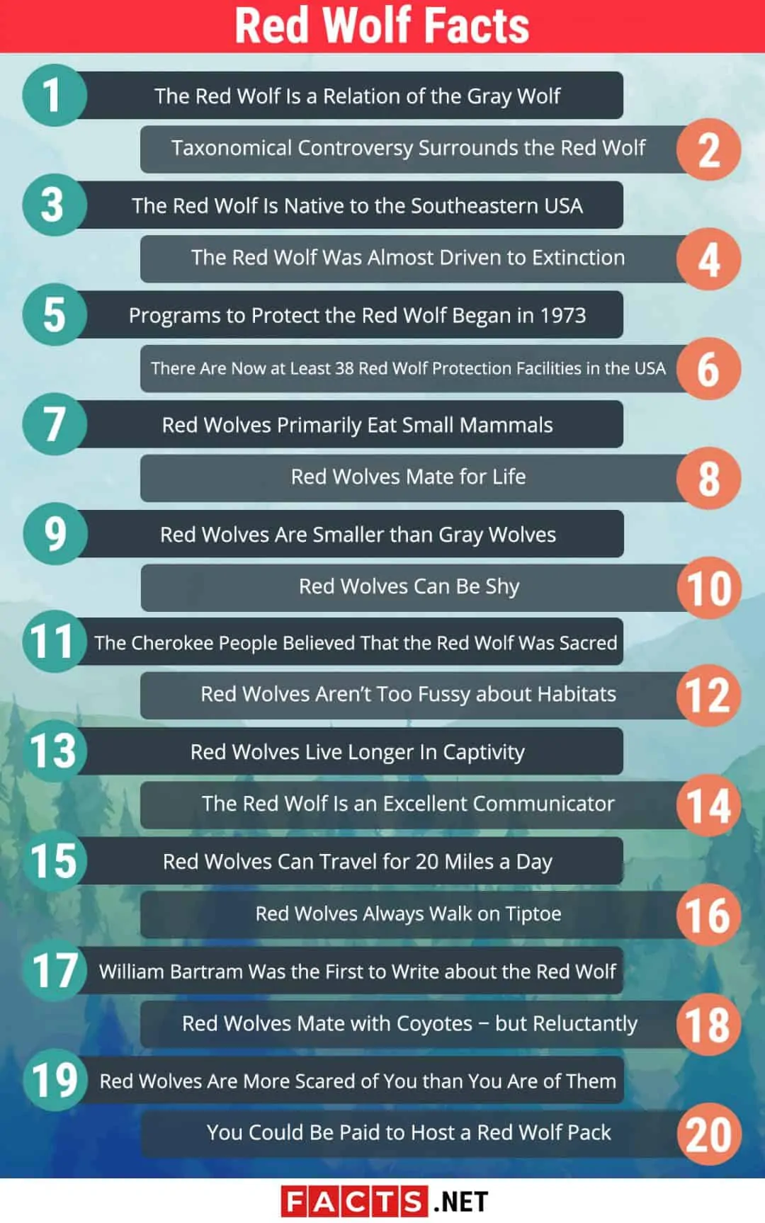 20 Facts about the Red Wolf Food, Biology, Behavior & More