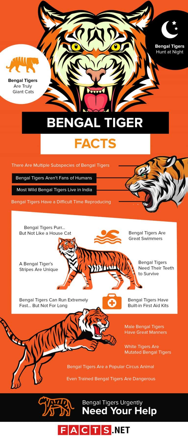 Top 17 Bengal Tiger Facts Diet, Habitat, Speed & More