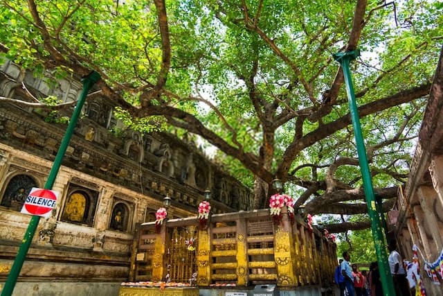 Bodh Gaya, Indie