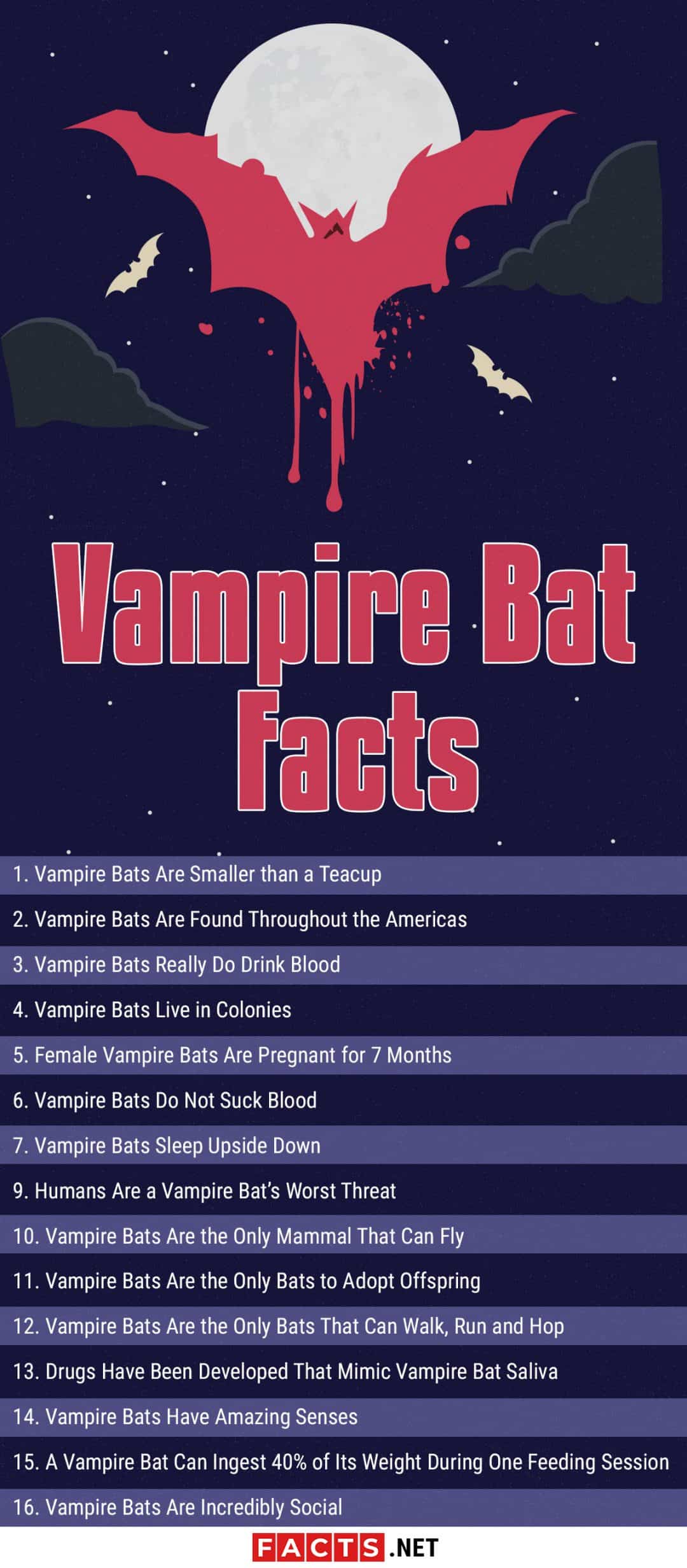 Top 15 Vampire Bat Facts - Size, Diet, Range & More - Facts.net