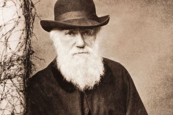 The Tree Of Life Charles Darwin Summary