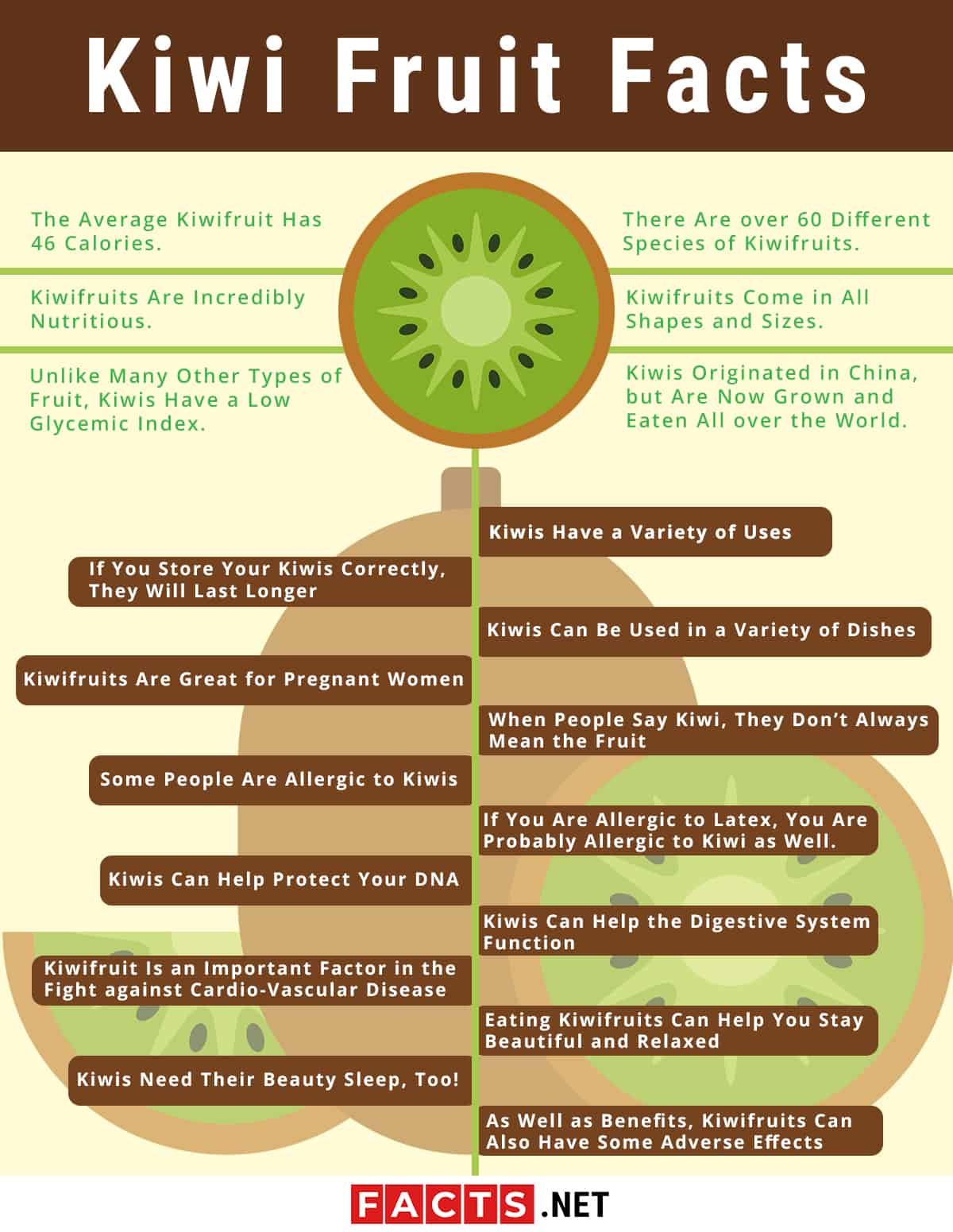 Kiwi Ovoce Fakta Infografiky