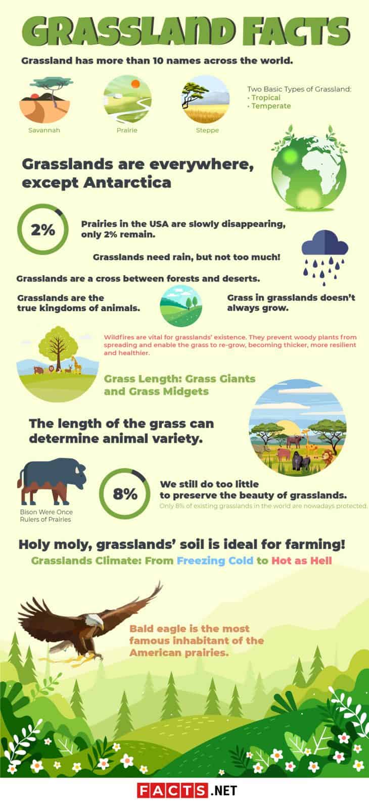 Top 16 Grassland Facts - Animals, Plants, Climate & More | Facts.net