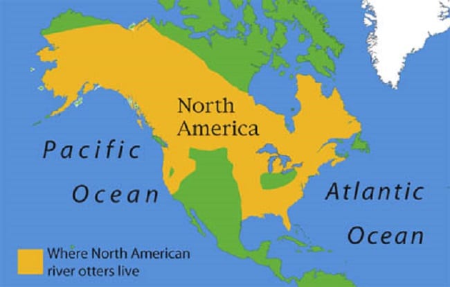 North American River Otters Range Map