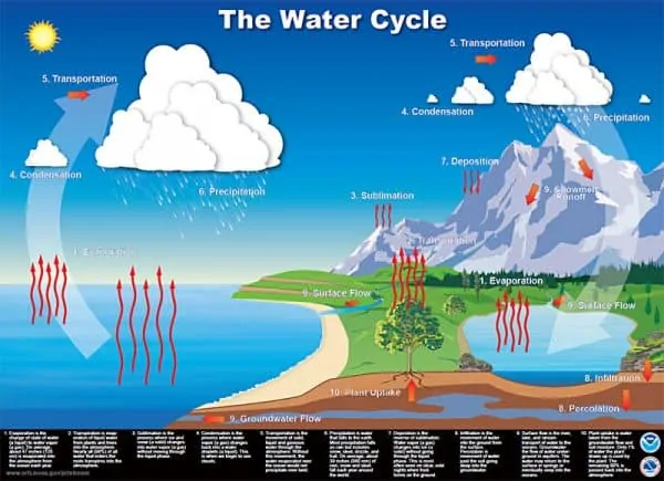 10 Water Cycle Facts Nature Science Experiments More Facts Net