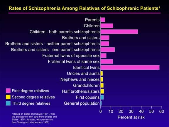 Top 10 Schizophrenia Facts Symptoms Types Causes And More 7545