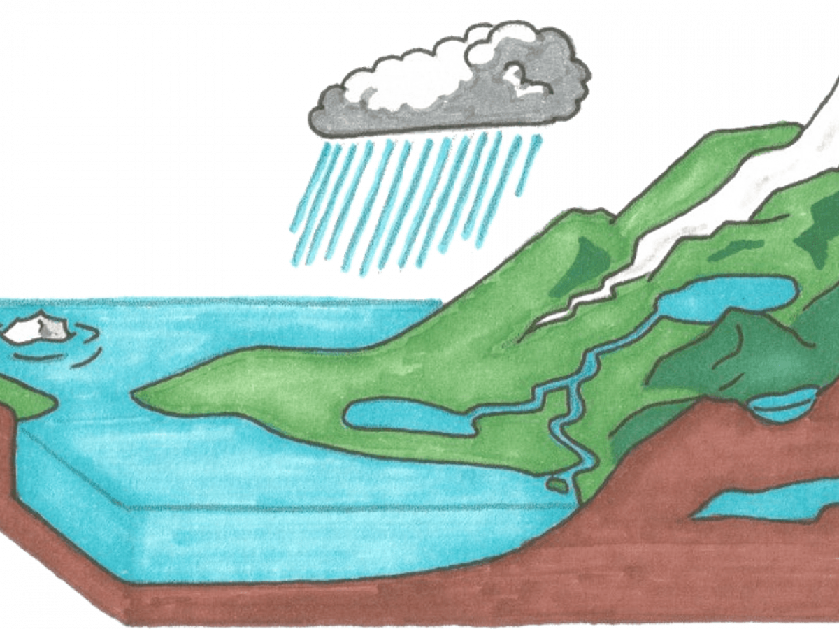 10 Water Cycle Facts Nature Science Experiments More Facts Net