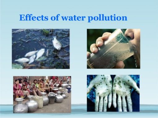 assignment on water pollution wikipedia