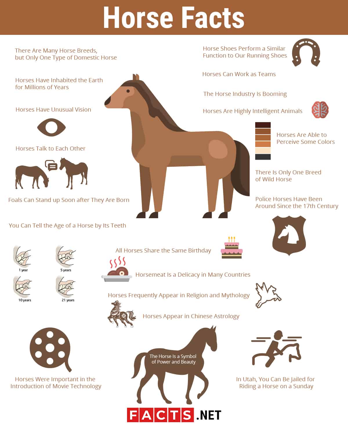 Printable Horse Facts