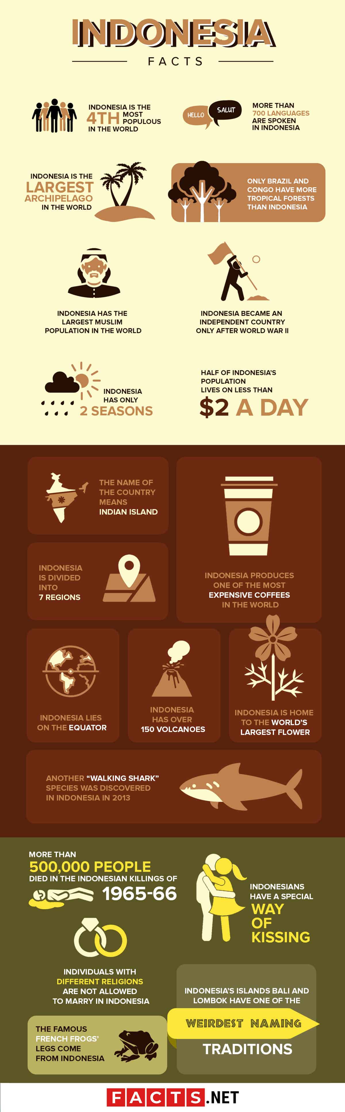Indonesia Facts Infographics