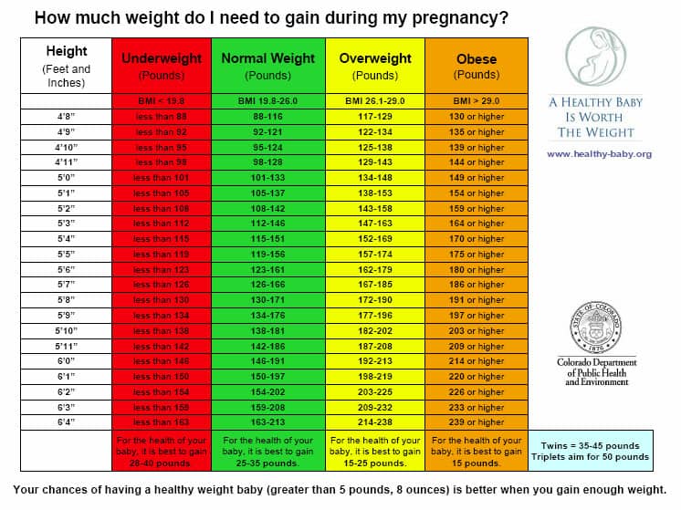 Weight Gain While Chart