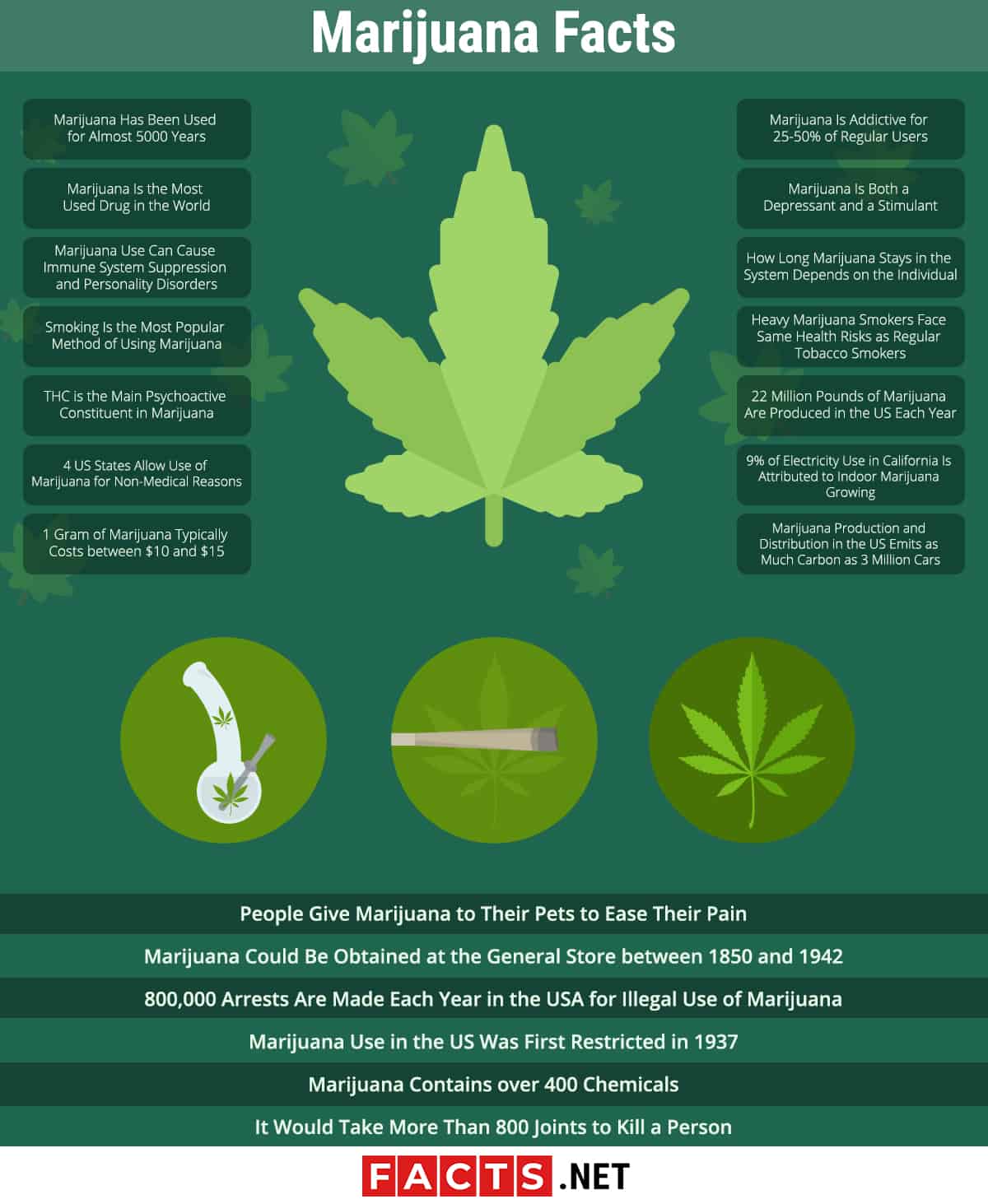 top-20-marijuana-facts-types-benefits-side-effects-more-facts