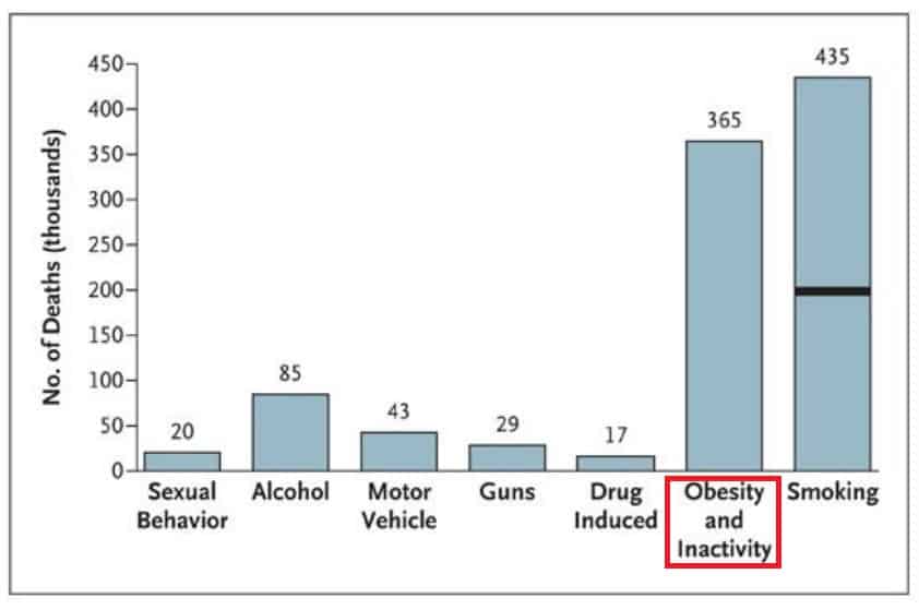 causes of obesity graph