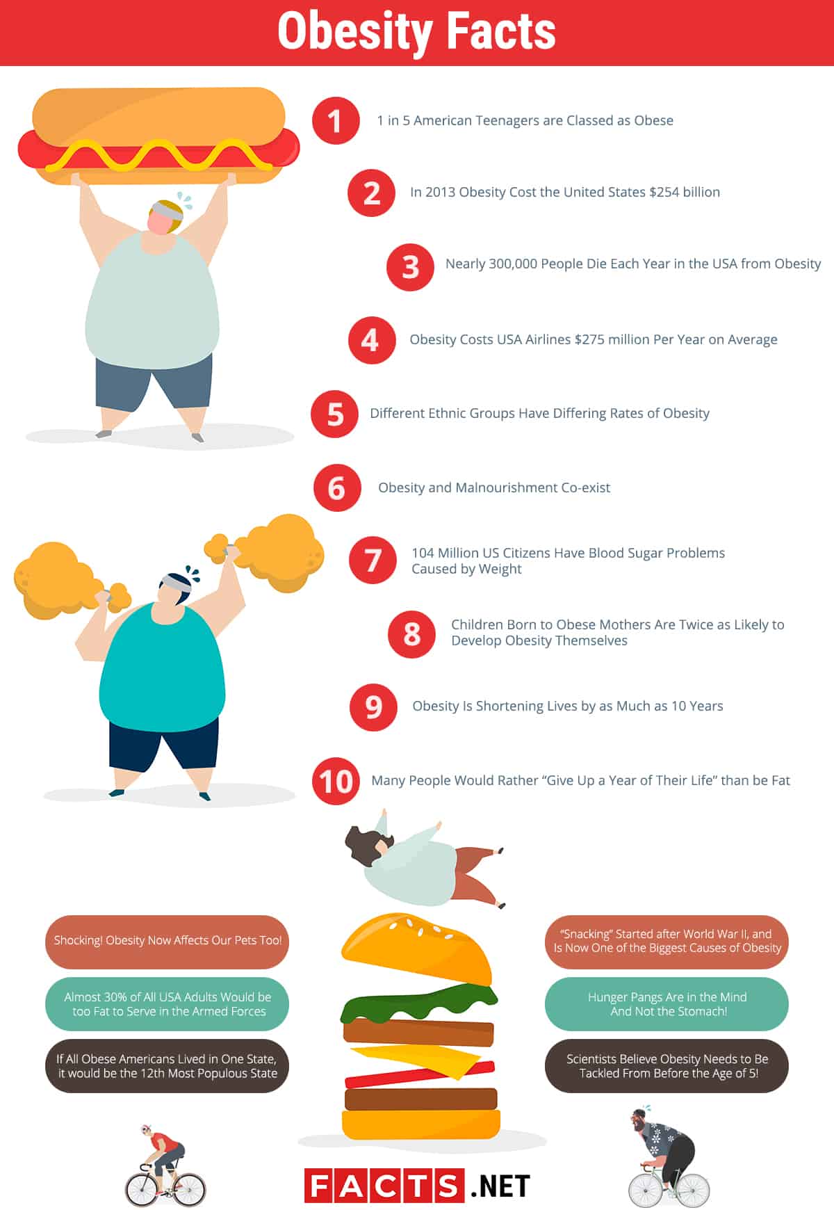 Top Obesity Facts Causes Effects Prevention More Facts Net