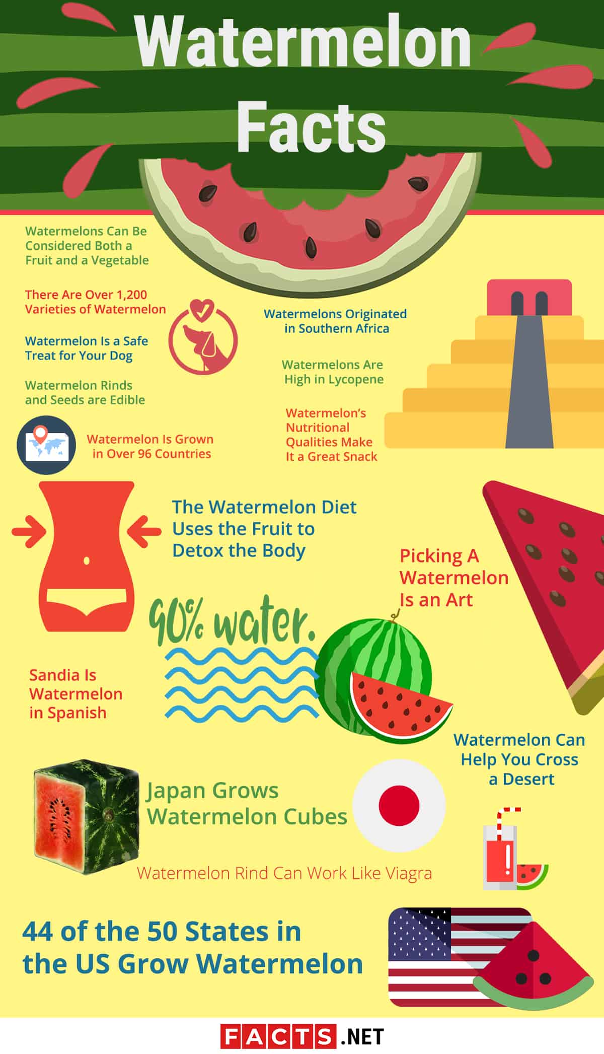 16 Facts about Watermelon - Origin, Diet, Pets, Benefits & More | Facts.net