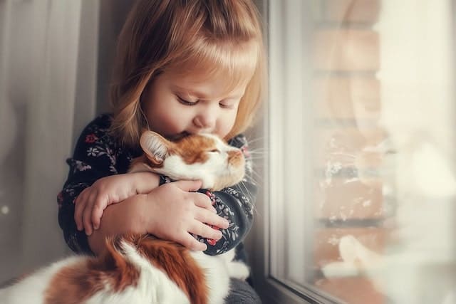 Animals Help Reduce Social Anxiety