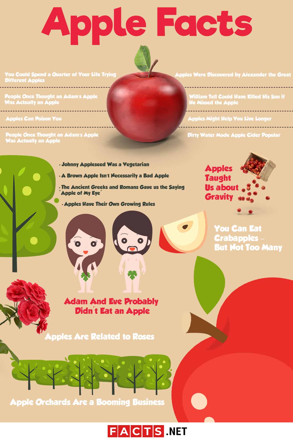 Apple Facts Infographics