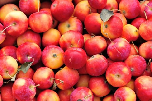 Crabapples