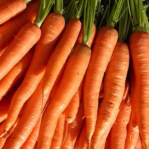 Top 15 Carrot Facts - Benefits, Nutritions, Myths & More | Facts.net