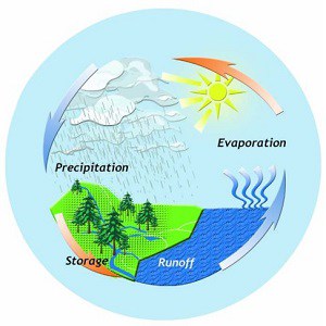 Hydrologic cycle facts