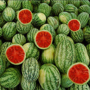 16 Facts about Watermelon - Origin, Diet, Pets, Benefits & More | Facts.net