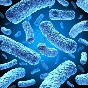 Цікаві факти про бактерії: топ 10
