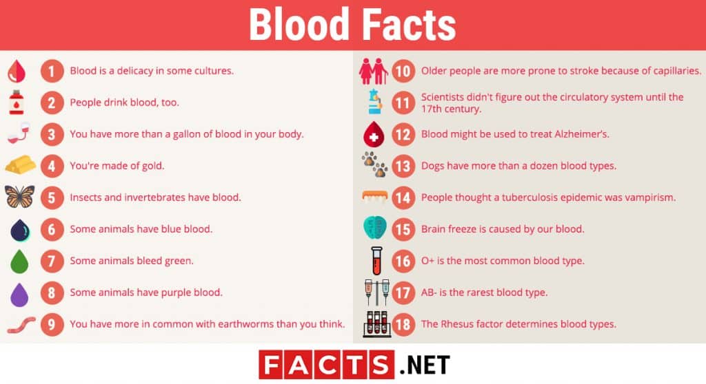 38 Intriguing Blood Facts You Should Know About | Facts.net